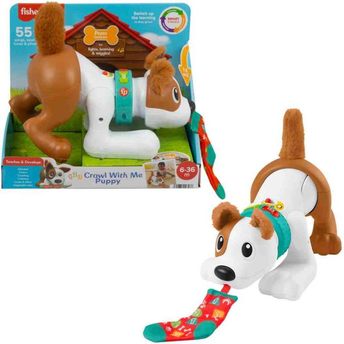 Mon Chiot Rampe avec Moi Fisher price