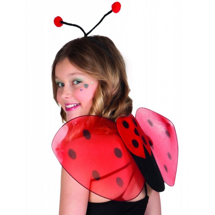 AILES ET BADEAU COCCINELLE