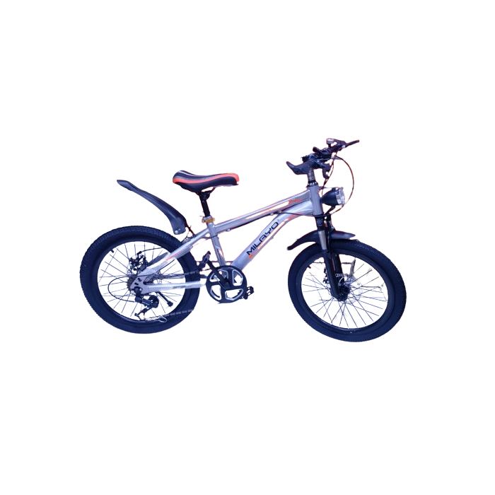 VTT à vitesse variable n°20